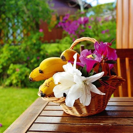 Holiday Homes Quinta Dos Curubas, Vila Franca Do Campo, Sao Miguel, Azores Buitenkant foto