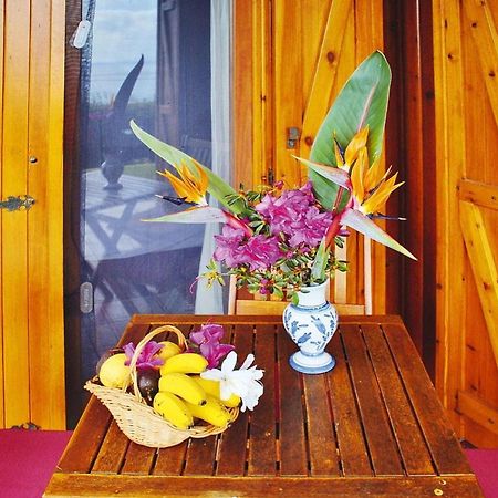 Holiday Homes Quinta Dos Curubas, Vila Franca Do Campo, Sao Miguel, Azores Buitenkant foto