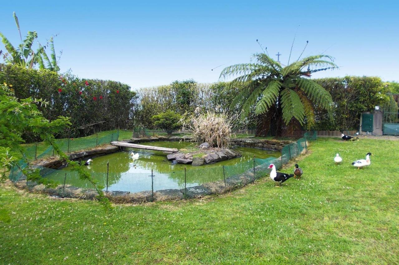 Holiday Homes Quinta Dos Curubas, Vila Franca Do Campo, Sao Miguel, Azores Buitenkant foto