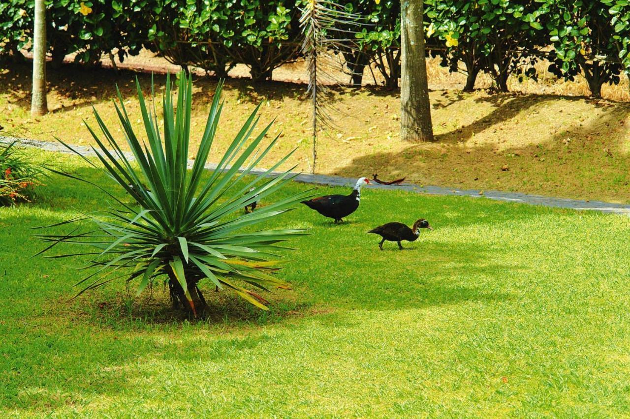 Holiday Homes Quinta Dos Curubas, Vila Franca Do Campo, Sao Miguel, Azores Buitenkant foto