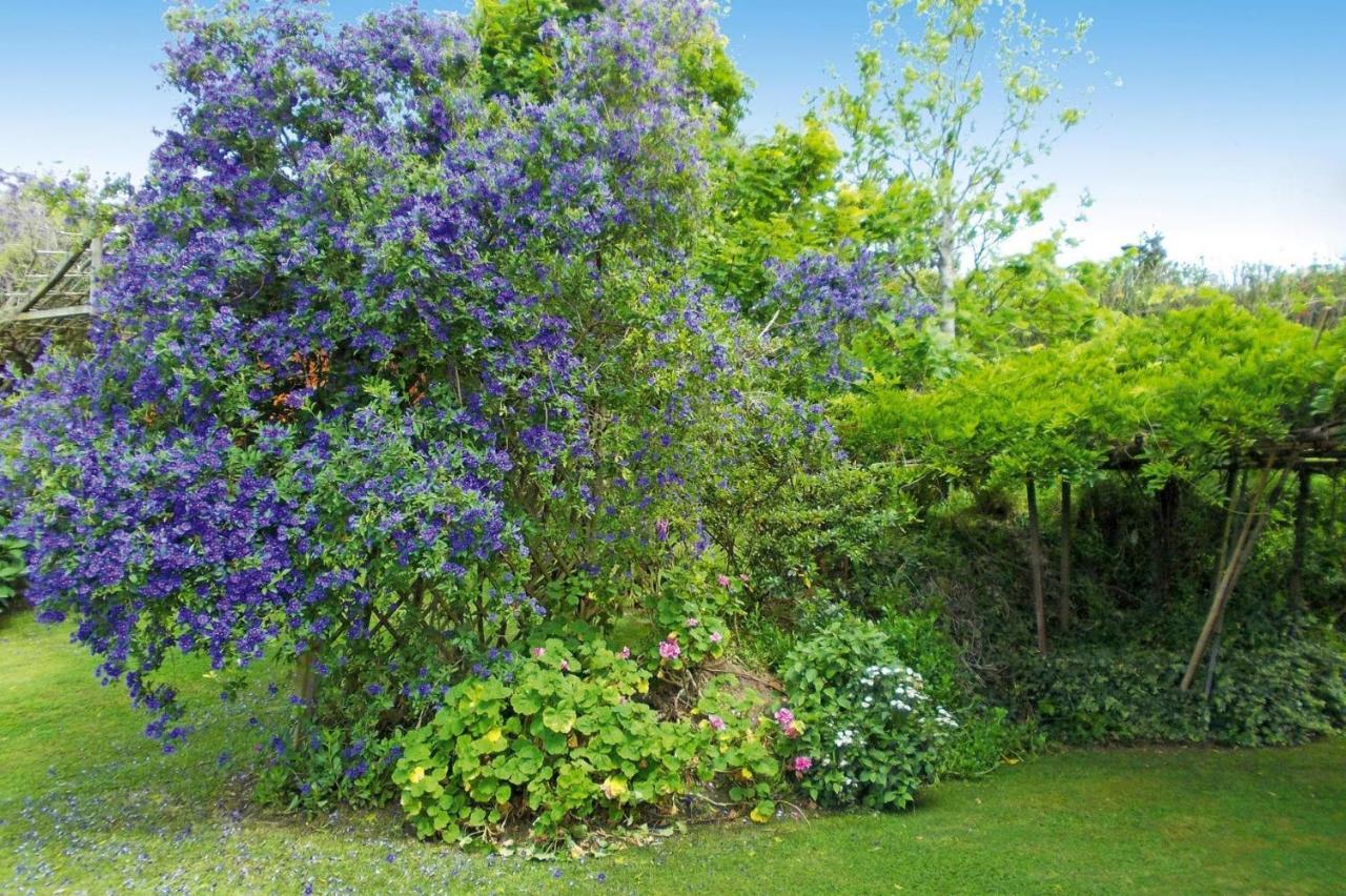 Holiday Homes Quinta Dos Curubas, Vila Franca Do Campo, Sao Miguel, Azores Buitenkant foto