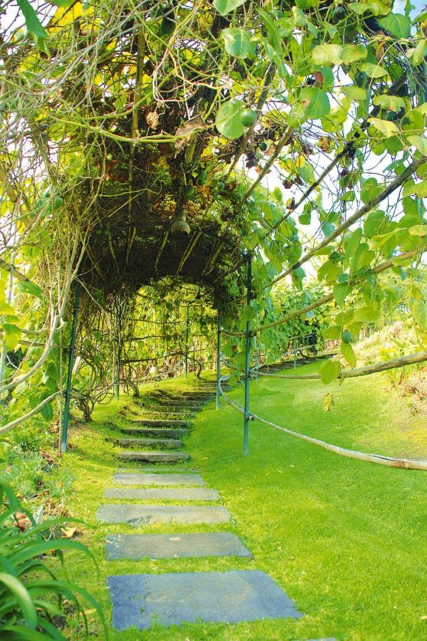 Holiday Homes Quinta Dos Curubas, Vila Franca Do Campo, Sao Miguel, Azores Buitenkant foto